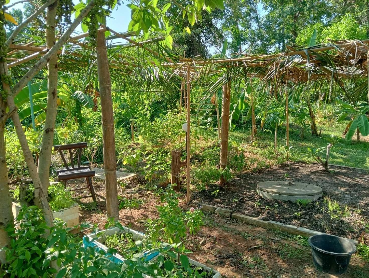 The River Retreat Koh Mak Exterior foto